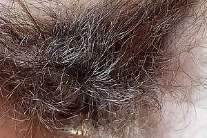 Hairy bush talisman video